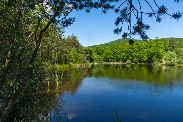 Úžasná Krajina Jezera Sua Gabra Lozenské Hoře Sofijský Kraj Bulharsko — Stock fotografie