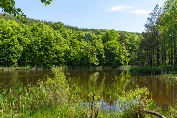 Úžasná Krajina Jezera Sua Gabra Lozenské Hoře Sofijský Kraj Bulharsko — Stock fotografie