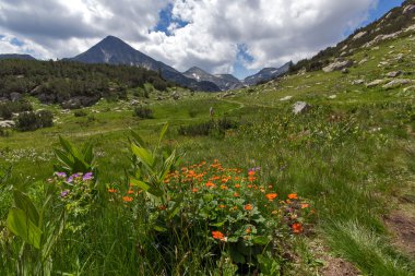 Pirin dağ manzarası