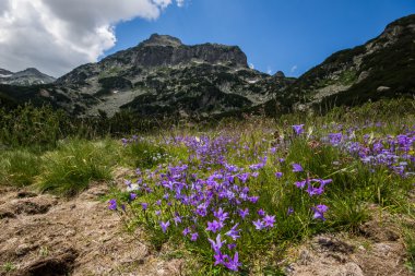 Pirin dağ manzarası