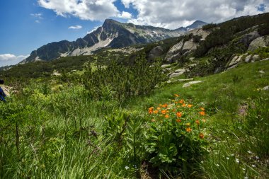 Pirin dağ manzarası