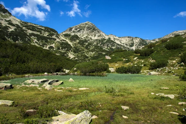 Puncak Hvoynati dan Sungai Gunung, Gunung Pirin — Stok Foto