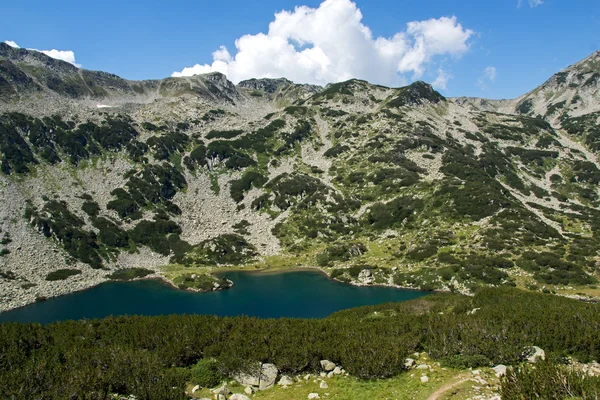 Banderishko ryby jeziora, góry Pirin — Zdjęcie stockowe