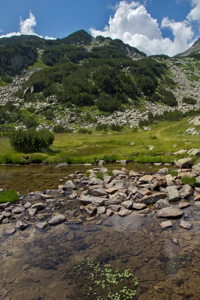 깨끗 한 산 강, Pirin 산 — 스톡 사진