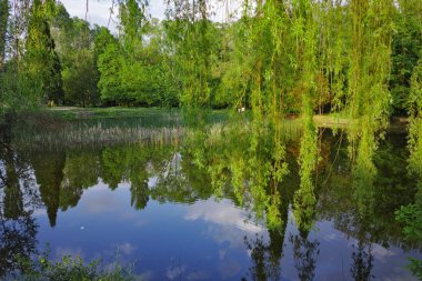 South Park - Sofya gölde gün batımında