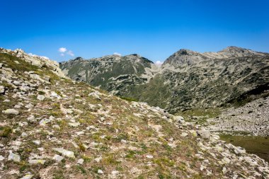 Manzara yeşil tepelerin Pirin Dağı