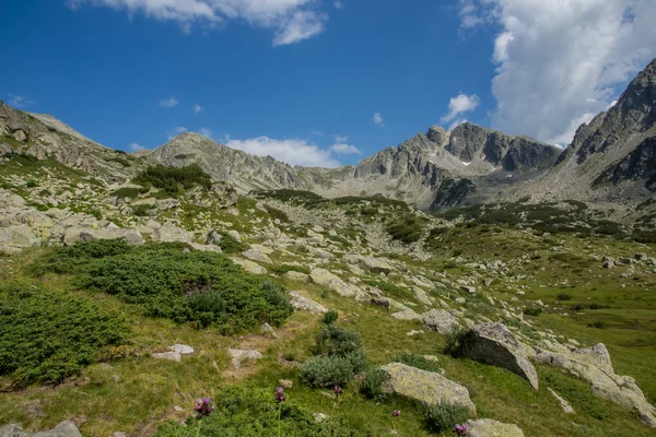 Amazing panorama of the Yalovarnika peaks in Pirin Mountain — Stock Photo, Image