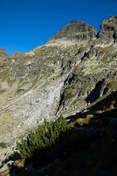 Vista incredibile di Orlovets Peak, montagna di Rila — Foto Stock