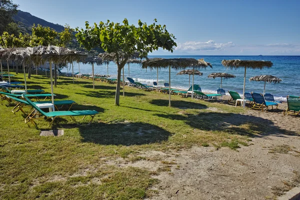 Césped verde en la playa de Porto Kaminia, isla de Zakynthos —  Fotos de Stock