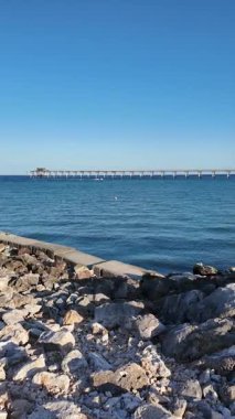 Bulgaristan 'ın Dobrich Bölgesi' ndeki Şabla Burnu yakınlarındaki Karadeniz sahili yaz manzarası