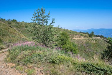 Bulgaristan 'ın Blagoevgrad bölgesinin Kongur tepesi çevresindeki Belasitsa Dağı yaz manzarası