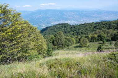 Bulgaristan 'ın Blagoevgrad bölgesinin Kongur tepesi çevresindeki Belasitsa Dağı yaz manzarası