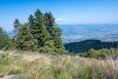 Bulgaristan 'ın Blagoevgrad bölgesinin Kongur tepesi çevresindeki Belasitsa Dağı yaz manzarası