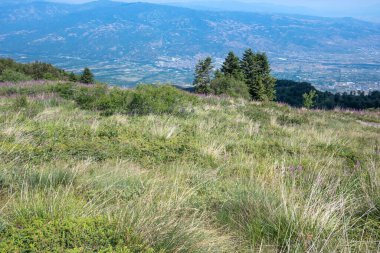Bulgaristan 'ın Blagoevgrad bölgesinin Kongur tepesi çevresindeki Belasitsa Dağı yaz manzarası