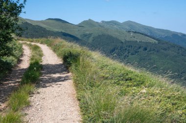 Bulgaristan 'ın Blagoevgrad bölgesinin Kongur tepesi çevresindeki Belasitsa Dağı yaz manzarası