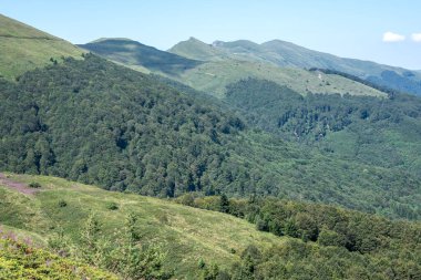 Bulgaristan 'ın Blagoevgrad bölgesinin Kongur tepesi çevresindeki Belasitsa Dağı yaz manzarası