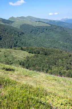 Bulgaristan 'ın Blagoevgrad bölgesinin Kongur tepesi çevresindeki Belasitsa Dağı yaz manzarası