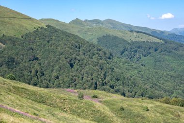 Bulgaristan 'ın Blagoevgrad bölgesinin Kongur tepesi çevresindeki Belasitsa Dağı yaz manzarası