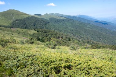 Bulgaristan 'ın Blagoevgrad bölgesinin Kongur tepesi çevresindeki Belasitsa Dağı yaz manzarası