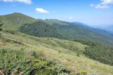 Bulgaristan 'ın Blagoevgrad bölgesinin Kongur tepesi çevresindeki Belasitsa Dağı yaz manzarası