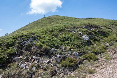 Bulgaristan 'ın Blagoevgrad bölgesinin Kongur tepesi çevresindeki Belasitsa Dağı yaz manzarası