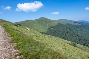 Bulgaristan 'ın Blagoevgrad bölgesinin Kongur tepesi çevresindeki Belasitsa Dağı yaz manzarası