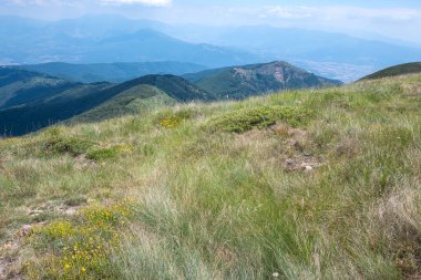 Bulgaristan 'ın Blagoevgrad bölgesinin Kongur tepesi çevresindeki Belasitsa Dağı yaz manzarası