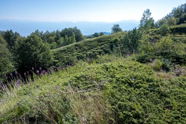 Bulgaristan 'ın Blagoevgrad bölgesinin Kongur tepesi çevresindeki Belasitsa Dağı yaz manzarası