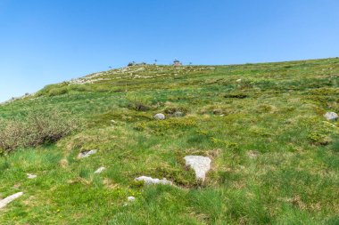 Bahar manzarası Vitoşa Dağı, İspanya