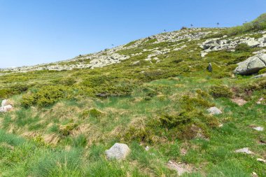 Bahar manzarası Vitoşa Dağı, İspanya