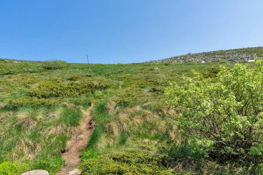 Bahar manzarası Vitoşa Dağı, İspanya