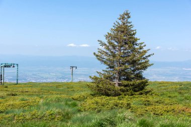 Bahar manzarası Vitoşa Dağı, İspanya