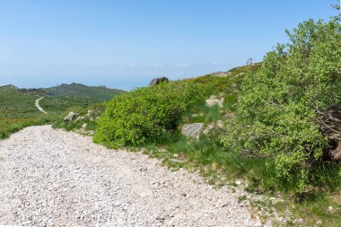 Bahar manzarası Vitoşa Dağı, İspanya