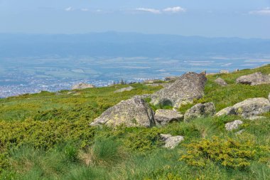 Bahar manzarası Vitoşa Dağı, İspanya