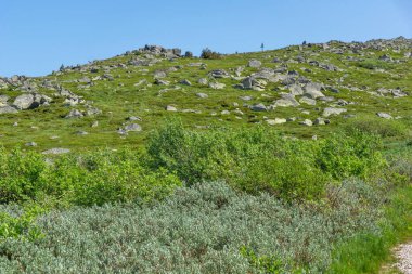 Bahar manzarası Vitoşa Dağı, İspanya