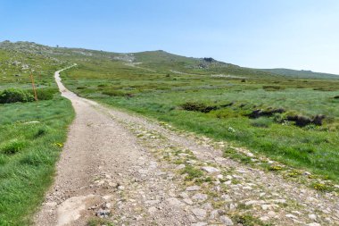 Bahar manzarası Vitoşa Dağı, İspanya