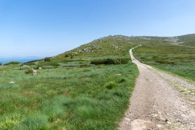 Bahar manzarası Vitoşa Dağı, İspanya