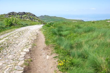 Bahar manzarası Vitoşa Dağı, İspanya
