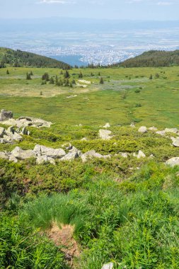 Bahar manzarası Vitoşa Dağı, İspanya