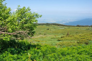 Bahar manzarası Vitoşa Dağı, İspanya