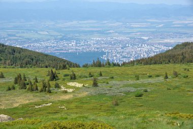 Bahar manzarası Vitoşa Dağı, İspanya