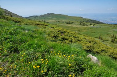 Bahar manzarası Vitoşa Dağı, İspanya