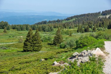 Bahar manzarası Vitoşa Dağı, İspanya