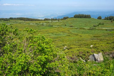 Bahar manzarası Vitoşa Dağı, İspanya