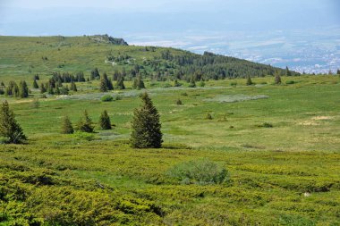 Bahar manzarası Vitoşa Dağı, İspanya