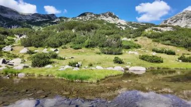 Bulgaristan 'ın Banderitsa Gölü çevresindeki Pirin Dağı' nın şaşırtıcı yaz manzarası