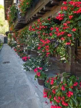 Sırbistan 'ın Ortaçağ Temski manastırının panoramik manzarası Aziz George, Pirot Bölgesi