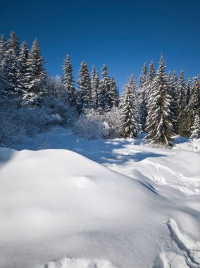Bulgaristan 'ın Sofya Şehir Bölgesi, Vitosha Dağı' nın İnanılmaz Kış manzarası
