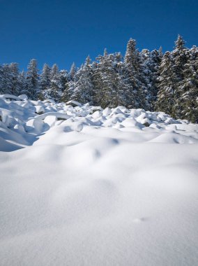 Bulgaristan 'ın Sofya Şehir Bölgesi, Vitosha Dağı' nın İnanılmaz Kış manzarası