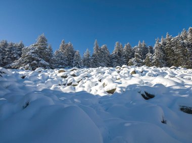 Bulgaristan 'ın Sofya Şehir Bölgesi, Vitosha Dağı' nın İnanılmaz Kış manzarası